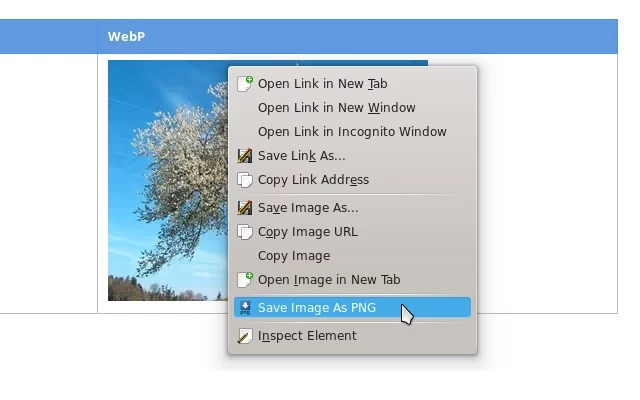save-image-as-png-chrome-extension-for-designers-Imaginators